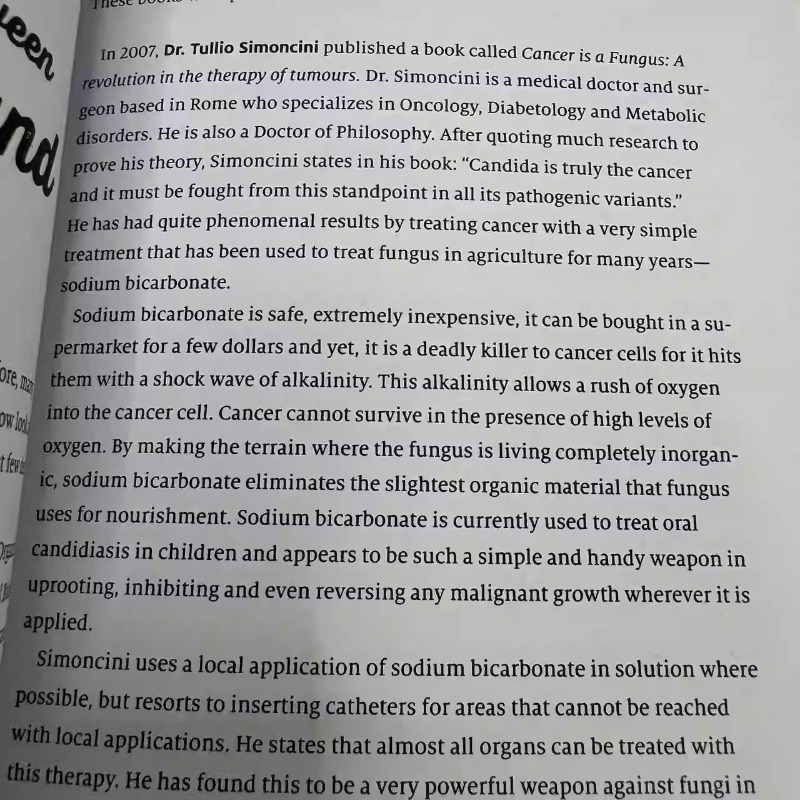 《Self Heal By Design》Sürdürüle - Renewable Energy Handbook incelemesi ve fiyatı